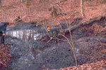 NAJU-Gruppe entschlammt den Salamanderteich 13