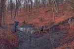 NAJU-Gruppe entschlammt den Salamanderteich 14