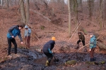 NAJU-Gruppe entschlammt den Salamanderteich 11