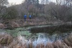 Einsatz-Froschteich-04-10x23s
