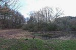Einsatz-Froschteich-05-10x24s