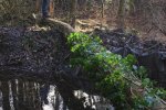 Einsatz-Kühlgrundteich-03-10x15s