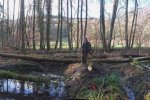Einsatz-Kühlgrundteich-04-10x31s
