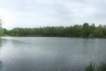 Pfungstädter Moor - Erlensee 1