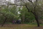 Pfungstädter Moor - Streuobstwiese 2