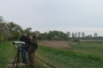 Vögel der Reinheimer Teiche 4