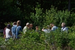 Eckis-Kurvenevent-3-10x15s