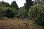 Pflegeeinsatz NABU-Wiese 07