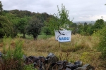 Pflegeeinsatz NABU-Wiese 08s