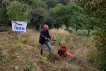 Pflegeeinsatz NABU-Wiese 09