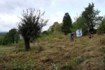 Pflegeeinsatz NABU-Wiese 11