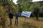 Pflegeeinsatz NABU-Wiese 13