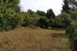 Pflegeeinsatz NABU-Wiese 14