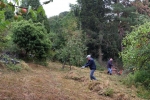 Pflegeeinsatz NABU-Wiese 03