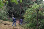 Pflegeeinsatz NABU-Wiese 04