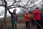 Kurs Obstsschnitt im Pfarrfeld am Seeheimer Blütenhang 10 10x15s