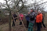Kurs Obstsschnitt im Pfarrfeld am Seeheimer Blütenhang 12 10x14s