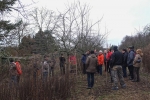 Kurs Obstsschnitt im Pfarrfeld am Seeheimer Blütenhang 13 10x15s