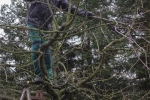 Kurs Obstsschnitt im Pfarrfeld am Seeheimer Blütenhang 14 10x15s