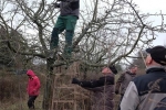Kurs Obstsschnitt im Pfarrfeld am Seeheimer Blütenhang 15 10x14s