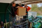 Aktion-Schleuereule-25-10x13s