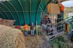 Aktion-Schleuereule-27-10x27s