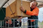 Aktion-Schleuereule-32-10x13s