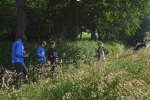 Weide am Bieberwoog - Drohne im Aufbau 4