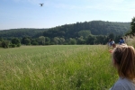 Weide am Burgweg 1