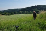Weide am Burgweg 4