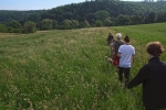 Weide am Burgweg 5