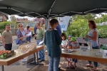 NABU-Infostand-zur-Europawahl-18-10x15s