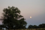 14 Abendspaziergang nach Ranies 4