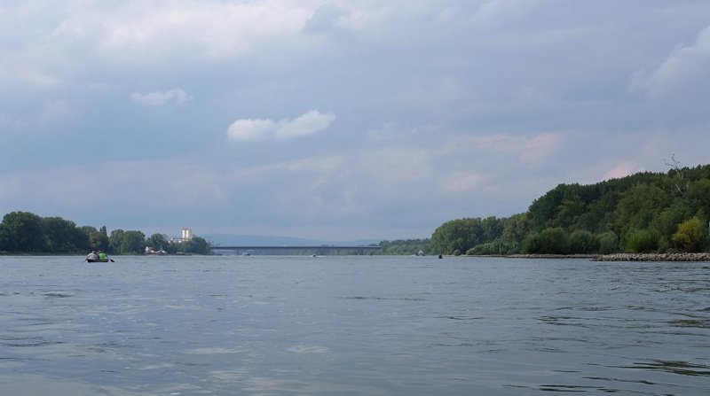 Rückfahrt Rhein