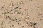 Rast am Rhein - NABU Seeheim was here