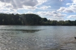 Rast am Rhein 07