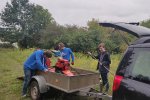 01-Einsatz-Bienenweide-Balkenmäher-01-10x13s