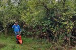 03-Einsatz-Bienenweide-Balkenmäher-05-10x13s