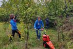 03-Einsatz-Bienenweide-Balkenmäher-06-10x13s