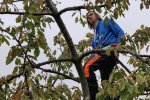 04-Einsatz-Bienenweide-Baumschutz-08-10x13s