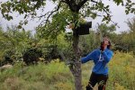 04-Einsatz-Bienenweide-Baumschutz-13-10x13s