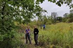 05-Einsatz-Bienenweide-Zaun-stellen-04-10x13s