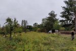 05-Einsatz-Bienenweide-Zaun-stellen-05-10x20s