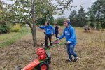 06-Einsatz-Bienenweide-Nachmahd-04-10x13s