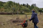 06-Einsatz-Bienenweide-Nachmahd-09-10x13s