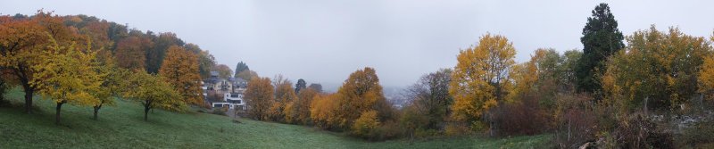 Panorama vom NABU Grundstück aus - Seeheim im Nebel