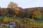NABU-Grundstück Baumschnitt 07
