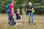 Monitoring-Eisengrube-08-10x13s
