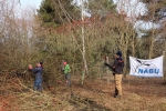 Einsatz Weide an der Straba 3