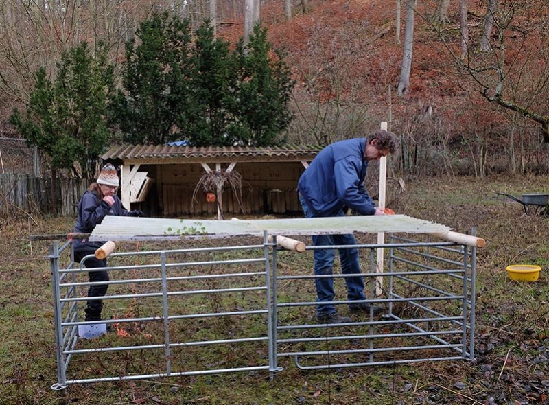 Schafe-auf-den-Etzwiesen-19-Stall-10x13s
